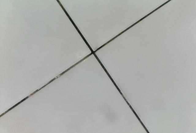 1566363520180385.jpg 25138870.jpg