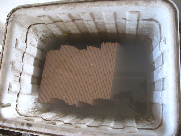 1566363573921071.jpg 25138912.jpg